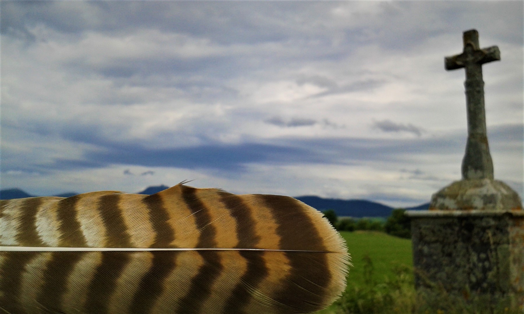 Plume devant croix en pierre