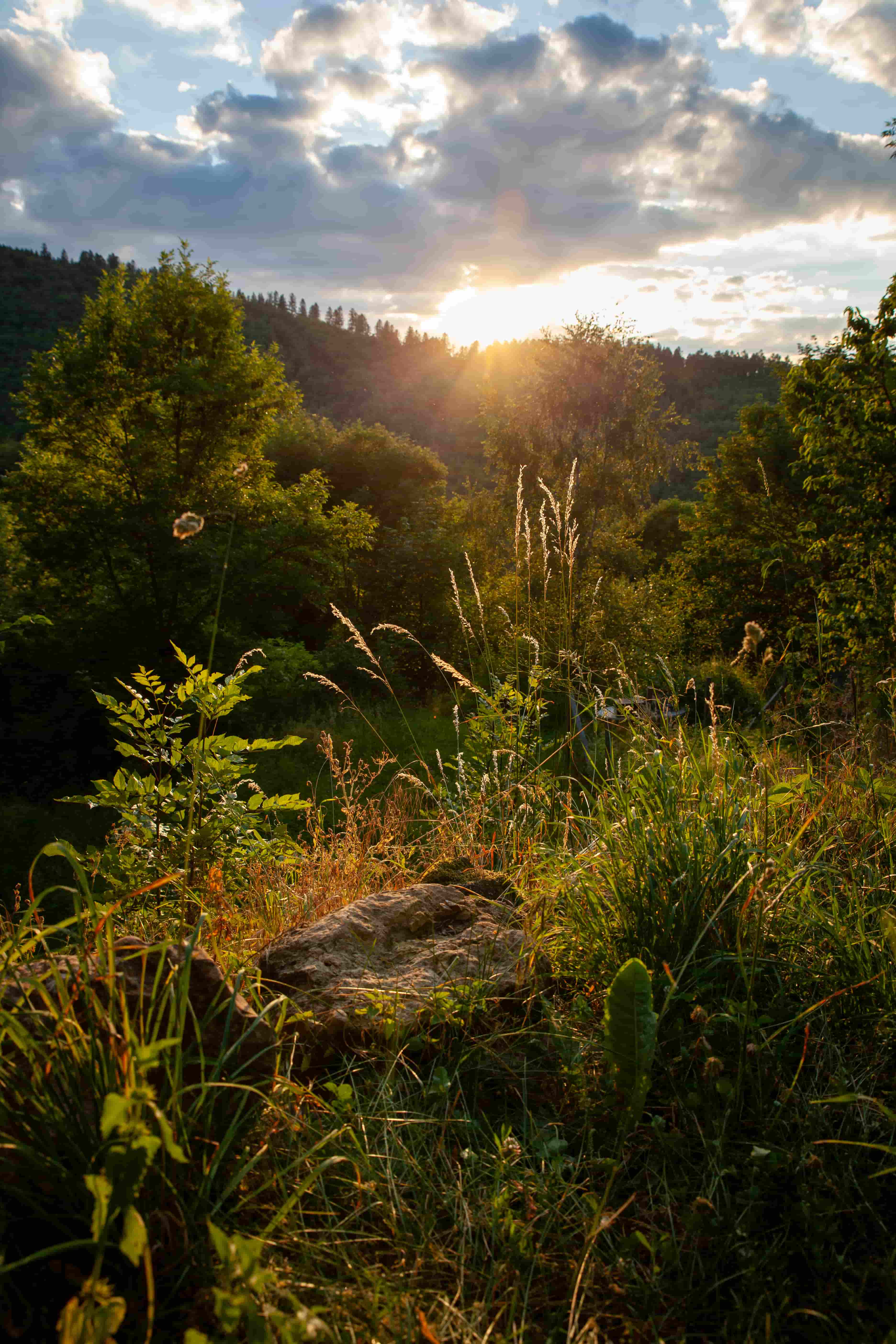 ambiance cévennes