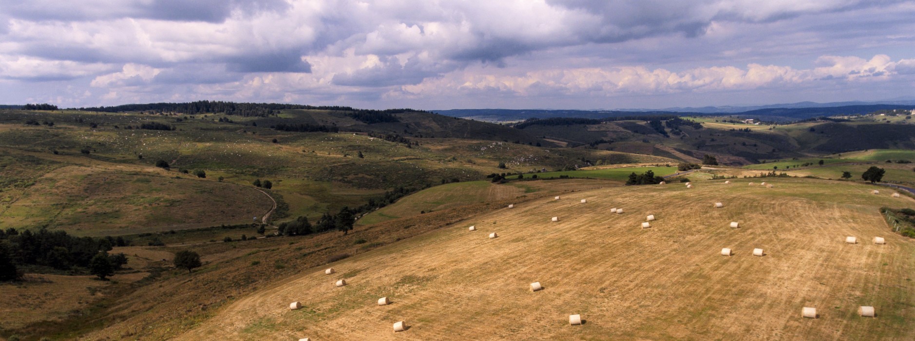 Paysage de la Margeride en Lozère