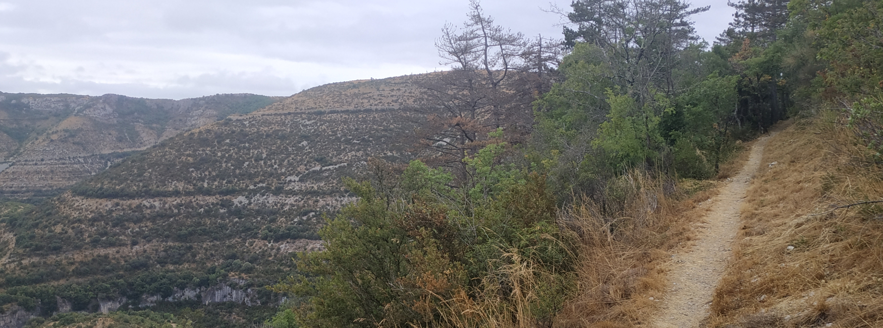 VTT dans les gorges de la Vis