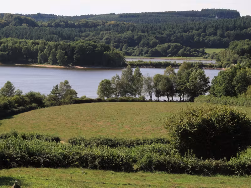 Lac de Chamboux - GTMC