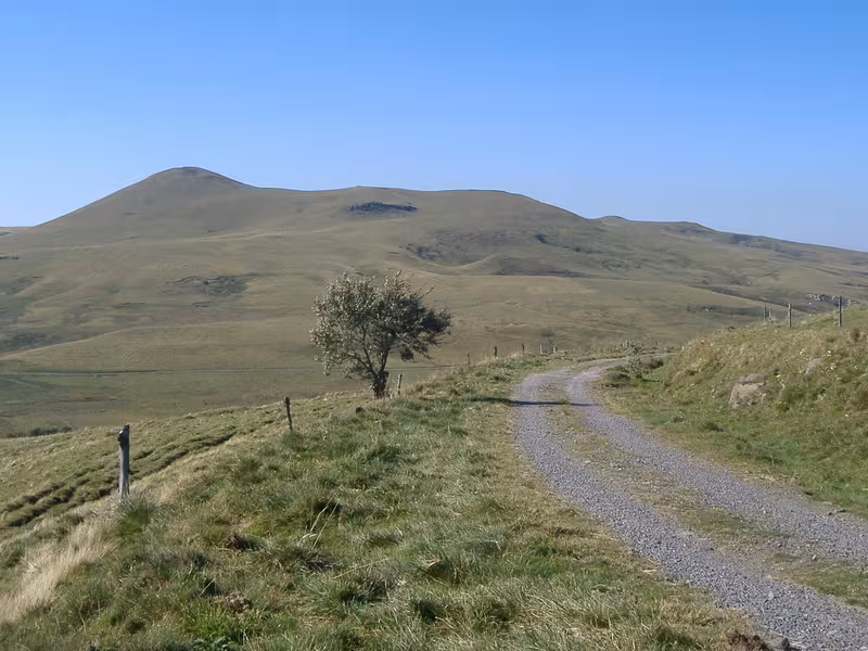 Piste pastorale du Cantal à VTT