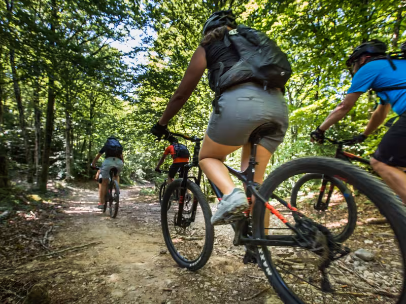 VTT dans la forêt de l'Escandorgue