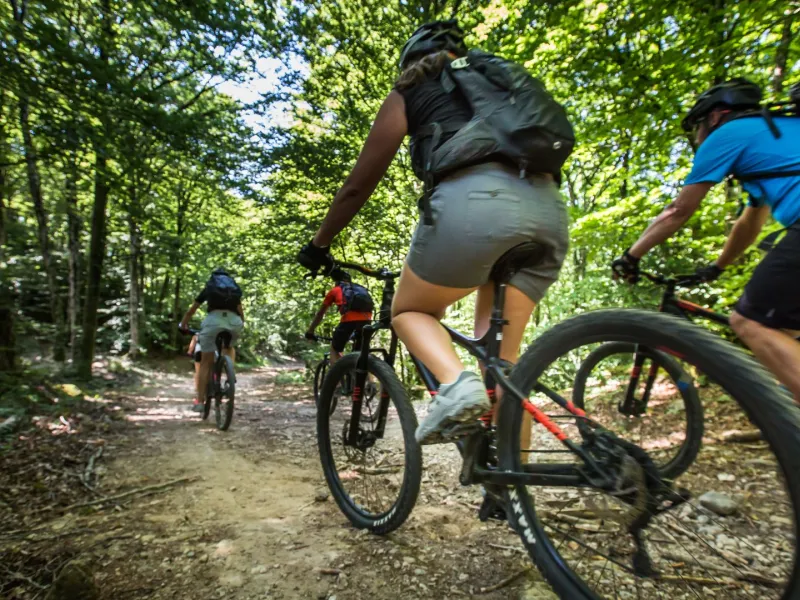 VTT dans la forêt de l'Escandorgue