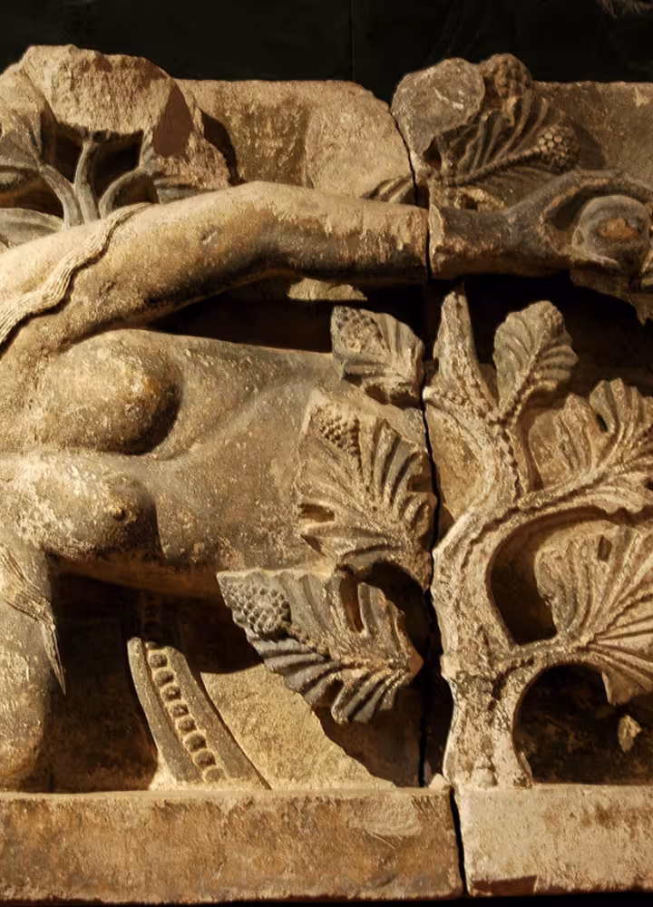 Eve sur la cathédrale d'Autun