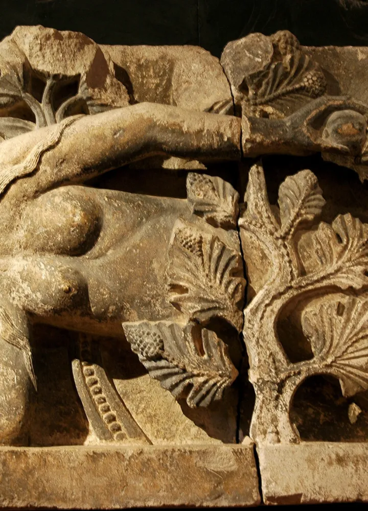 Eve sur la cathédrale d'Autun