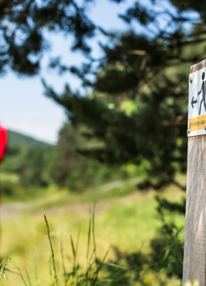 Balisage de la GTMC à VTT