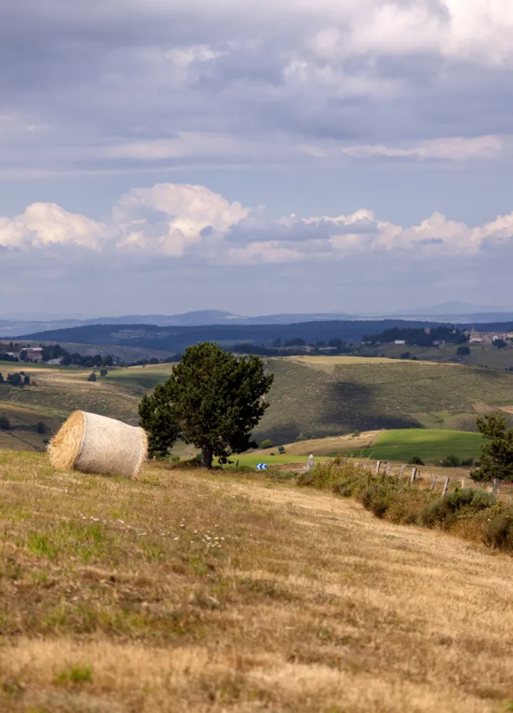 Margeride à VTT