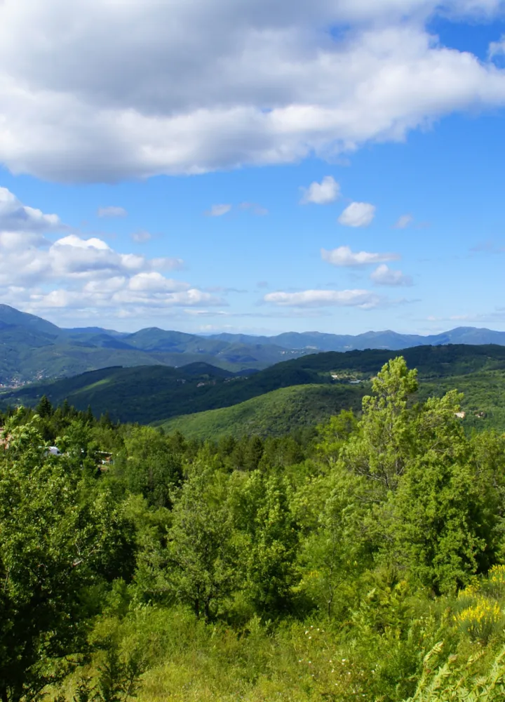 Panorama vers Montdardier