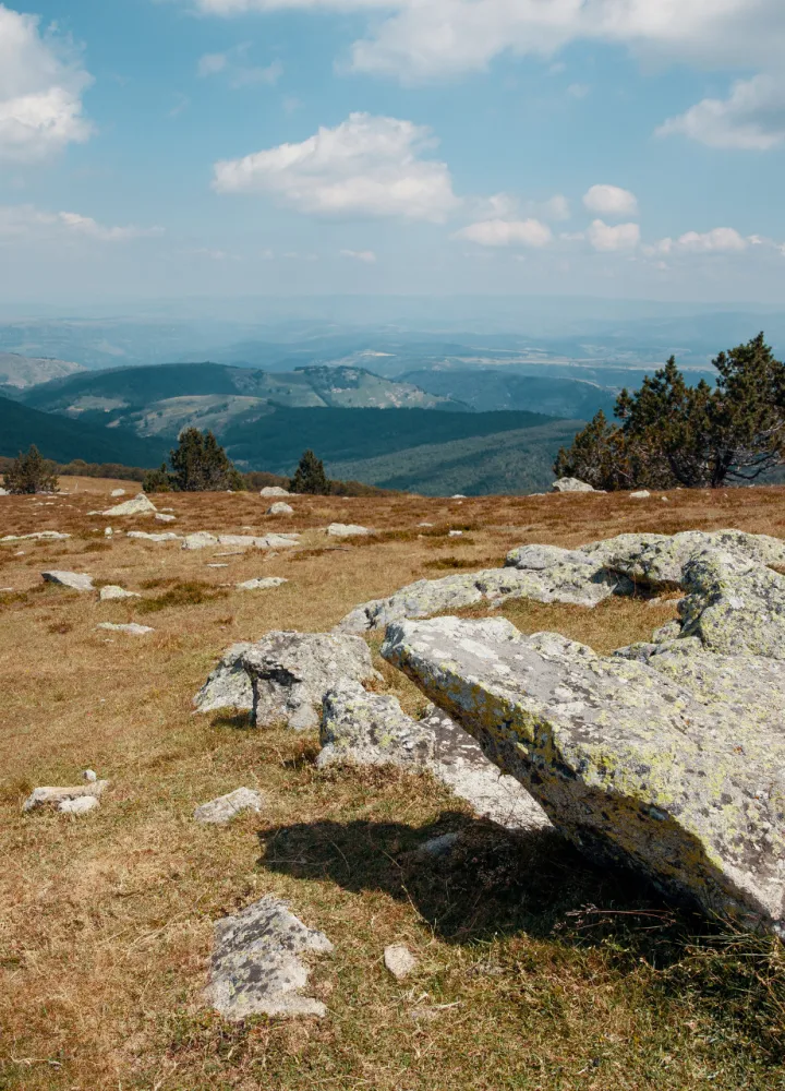 Paysage au sommet du Mont Aigoual