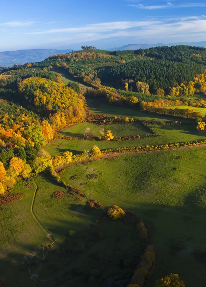 Morvan à l'automne