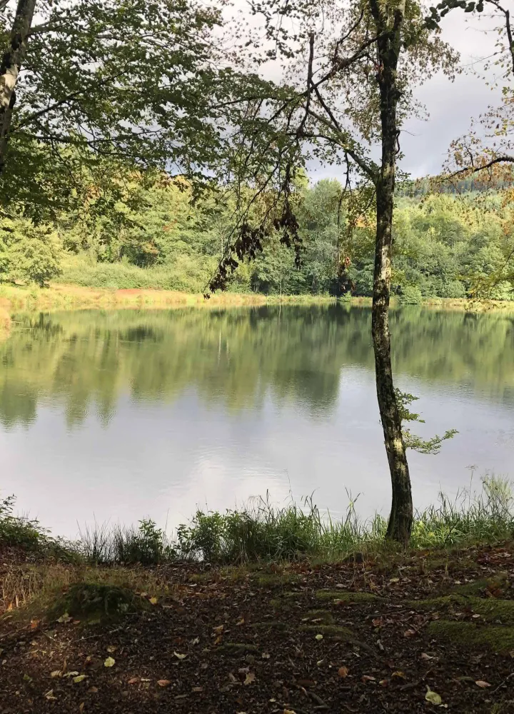 Lac du châtelet - automne