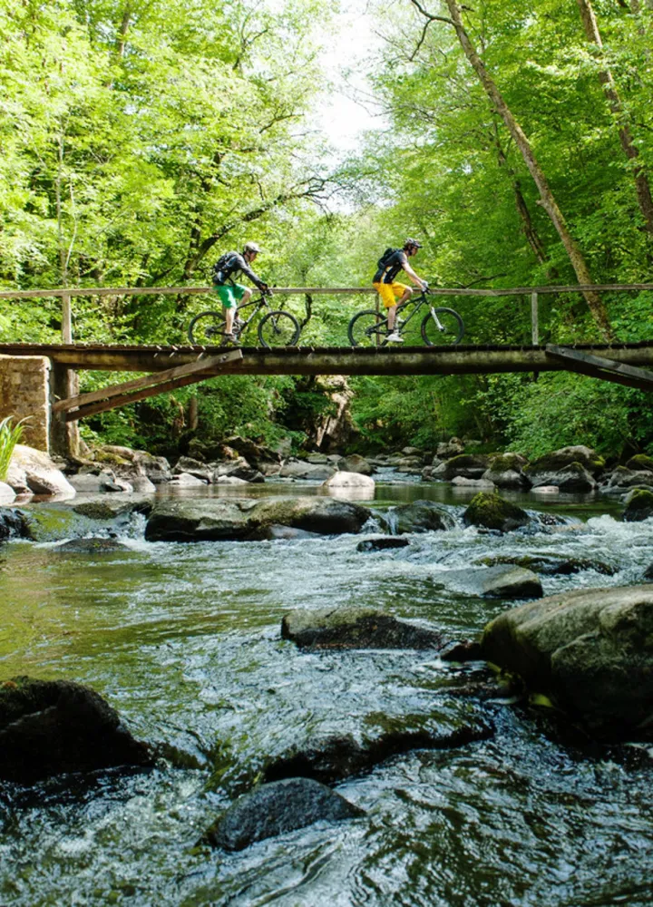 Vallée du cousin dans le Morvan
