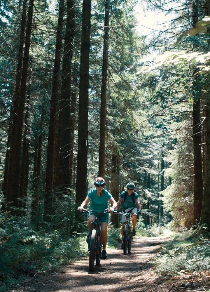 Sur la GTMC VTT dans les forêts du Morvan vers le Haut Folin