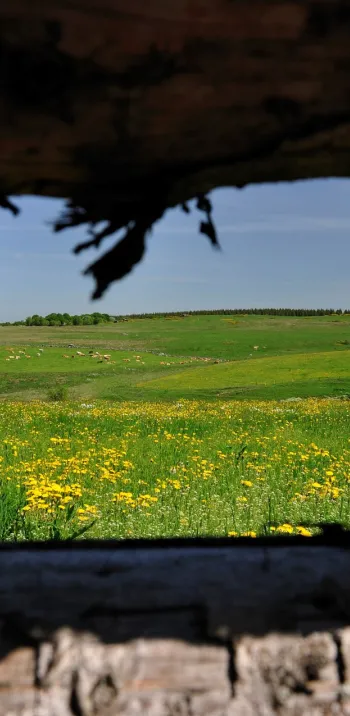 Domaine du Sauvage entre le Puy-en-Velay et l'Aubrac