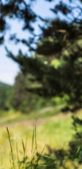Balisage de la GTMC à VTT