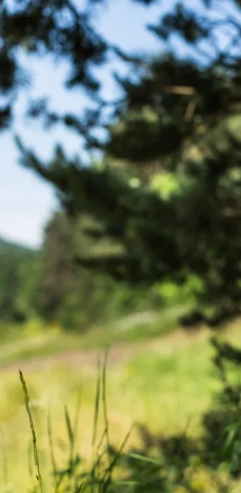 Balisage de la GTMC à VTT