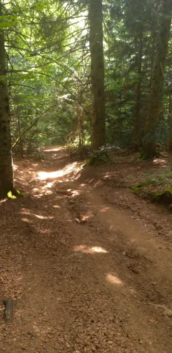 temoignage-gtmc-gravel-1_0.png