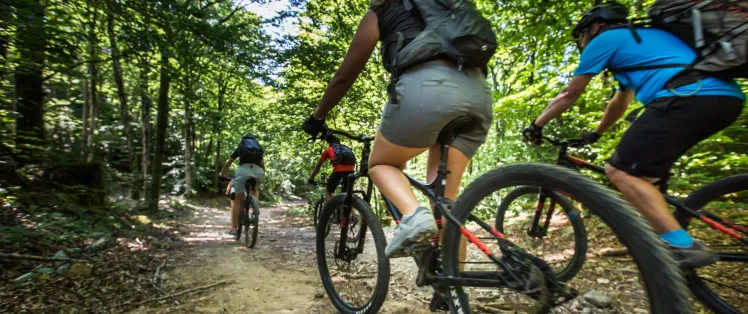 Quel VTT choisir pour un voyage en itinérance ?