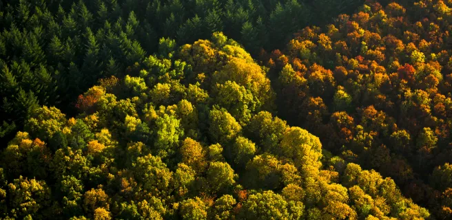 Montsauche-les-Settons / Anost