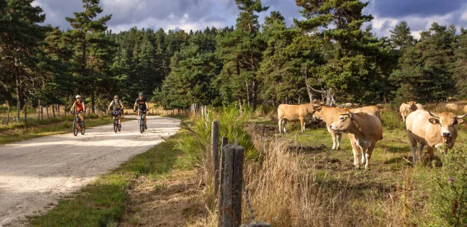 Le domaine du Sauvage en Margeride