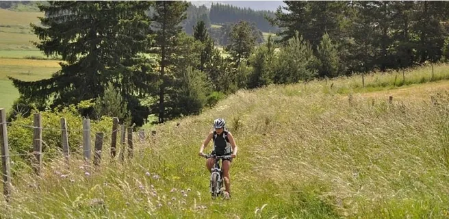 vététiste au milieu d'un champs