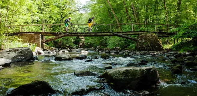 Avallon / Quarré-les-Tombes