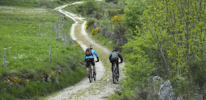 Ruynes-en-Margeride / Domaine du Sauvage