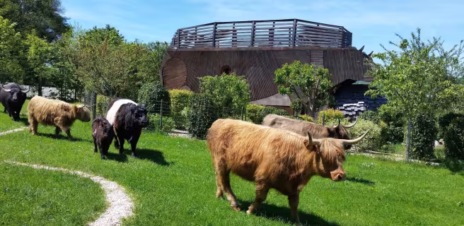 Vache Ecolodge
