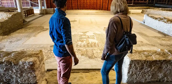 Régis DOMERGUE - OT Archipel de Thau