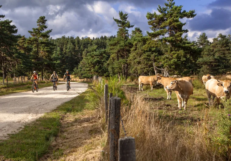 Le domaine du Sauvage en Margeride