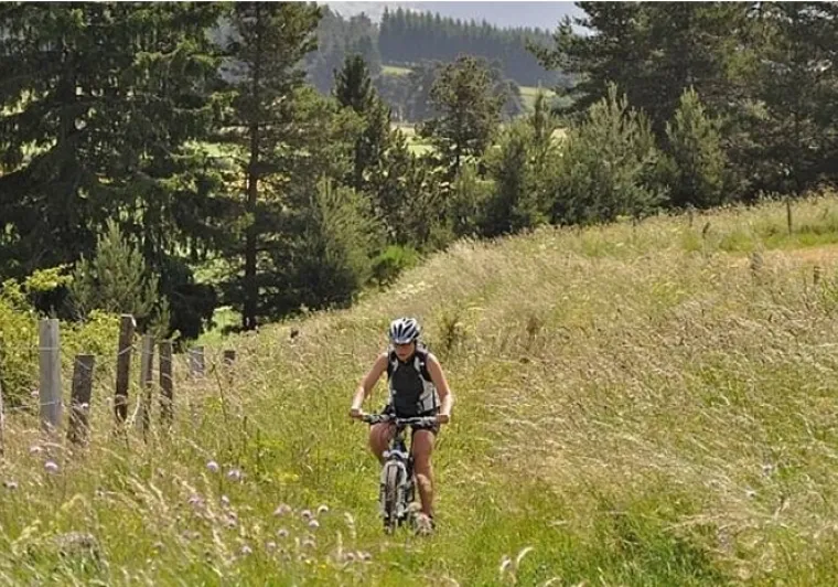 vététiste au milieu d'un champs