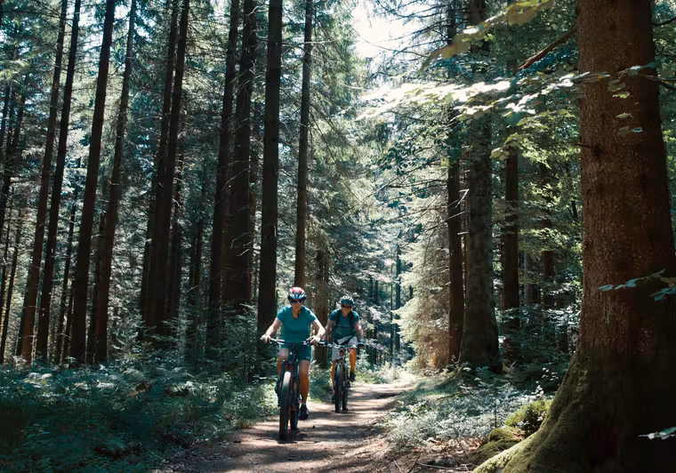 Sur la GTMC VTT dans les forêts du Morvan vers le Haut Folin