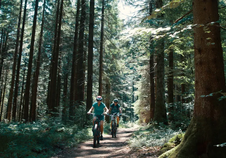 Sur la GTMC VTT dans les forêts du Morvan vers le Haut Folin