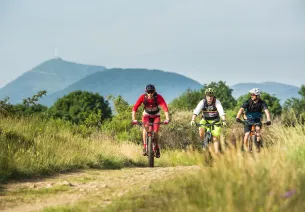 Vététistes dans le parc des VOlcans d'Auvergne