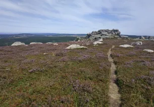 Margeride à VTT